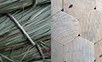 Photos of Detail coiled structure, k?ferbefallenes Fichtenholz